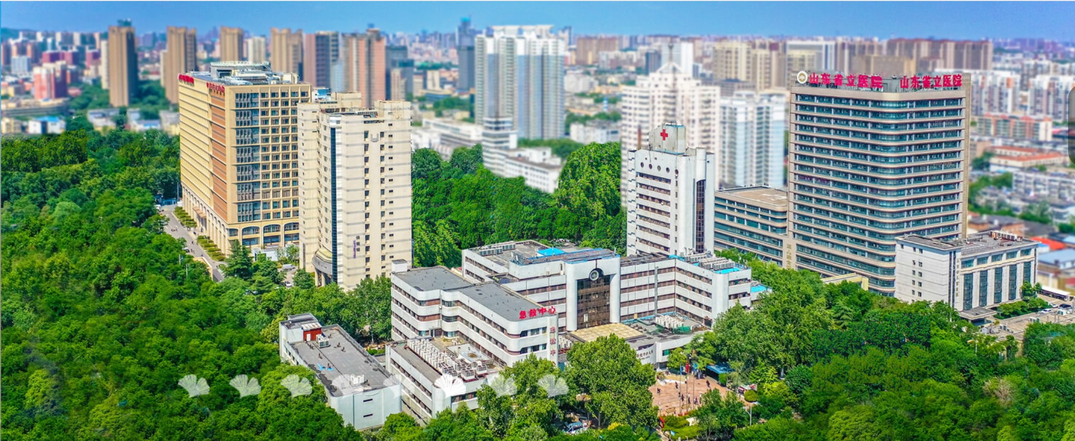 微信图片_2026-04-08_162600_915.jpg