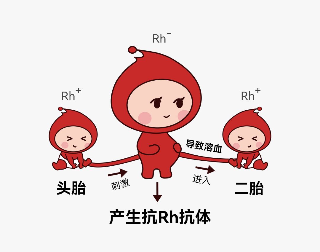 科学输血指南十五：血液外观异常识别全覆盖：溶血、乳糜、凝块、絮状物、气泡判定与处理规范